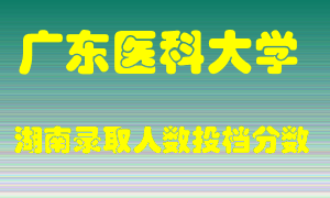 广东医科大学在湖南历年招生计划录取人数投档分数