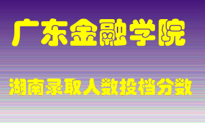 广东金融学院在湖南历年招生计划录取人数投档分数