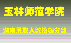 玉林师范学院在湖南历年招生计划录取人数投档分数