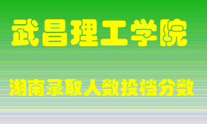 武昌理工学院在湖南历年招生计划录取人数投档分数