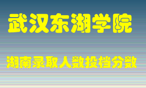 武汉东湖学院在湖南历年招生计划录取人数投档分数