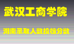 武汉工商学院在湖南历年招生计划录取人数投档分数