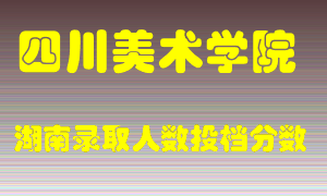 四川美术学院在湖南历年招生计划录取人数投档分数