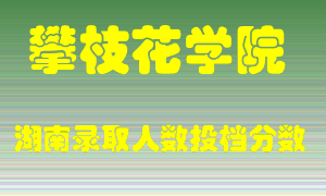 攀枝花学院在湖南历年招生计划录取人数投档分数