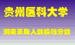 贵州医科大学在湖南历年招生计划录取人数投档分数