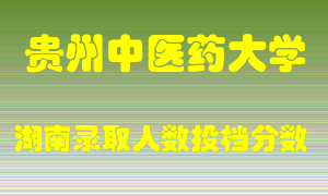 贵州中医药大学在湖南历年招生计划录取人数投档分数