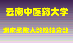 云南中医药大学在湖南历年招生计划录取人数投档分数