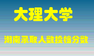 大理大学在湖南历年招生计划录取人数投档分数