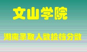 文山学院在湖南历年招生计划录取人数投档分数