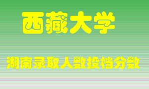 西藏大学在湖南历年招生计划录取人数投档分数