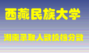 西藏民族大学在湖南历年招生计划录取人数投档分数