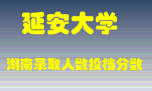 延安大学在湖南历年招生计划录取人数投档分数