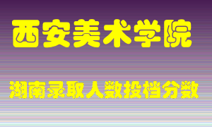 西安美术学院在湖南历年招生计划录取人数投档分数