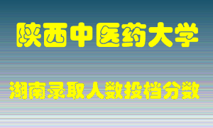 陕西中医药大学在湖南历年招生计划录取人数投档分数