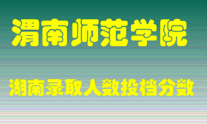 渭南师范学院在湖南历年招生计划录取人数投档分数