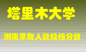 塔里木大学在湖南历年招生计划录取人数投档分数