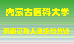 内蒙古医科大学在湖南历年招生计划录取人数投档分数