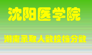 沈阳医学院在湖南历年招生计划录取人数投档分数