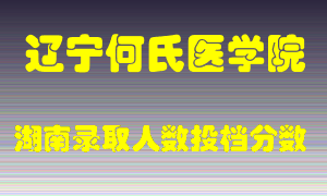 辽宁何氏医学院在湖南历年招生计划录取人数投档分数