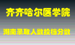 齐齐哈尔医学院在湖南历年招生计划录取人数投档分数