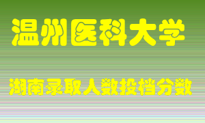 温州医科大学在湖南历年招生计划录取人数投档分数