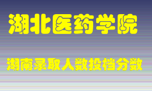 湖北医药学院在湖南历年招生计划录取人数投档分数