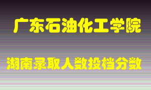 广东石油化工学院在湖南历年招生计划录取人数投档分数