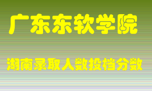 广东东软学院在湖南历年招生计划录取人数投档分数