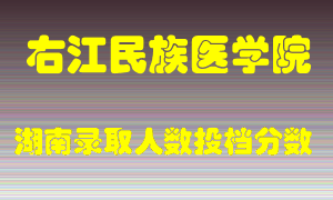 右江民族医学院在湖南历年招生计划录取人数投档分数