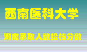 西南医科大学在湖南历年招生计划录取人数投档分数