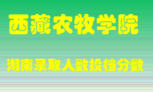 西藏农牧学院在湖南历年招生计划录取人数投档分数