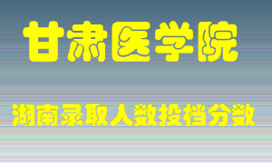 甘肃医学院在湖南历年招生计划录取人数投档分数