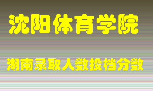 沈阳体育学院在湖南历年招生计划录取人数投档分数