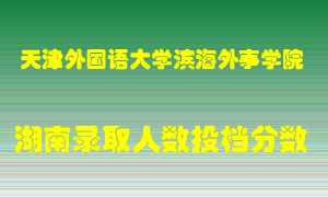 天津外国语大学滨海外事学院在湖南历年招生计划录取人数投档分数