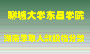 聊城大学东昌学院在湖南历年招生计划录取人数投档分数