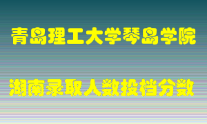 青岛理工大学琴岛学院在湖南历年招生计划录取人数投档分数