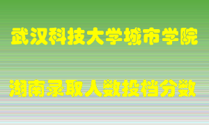 武汉科技大学城市学院在湖南历年招生计划录取人数投档分数