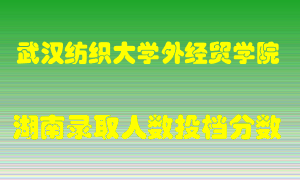 武汉纺织大学外经贸学院在湖南历年招生计划录取人数投档分数