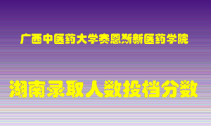 广西中医药大学赛恩斯新医药学院在湖南历年招生计划录取人数投档分数