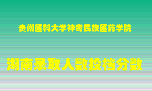 贵州医科大学神奇民族医药学院在湖南历年招生计划录取人数投档分数