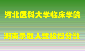 河北医科大学临床学院在湖南历年招生计划录取人数投档分数