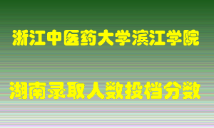 浙江中医药大学滨江学院在湖南历年招生计划录取人数投档分数