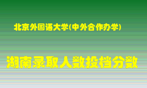 北京外国语大学在湖南历年招生计划录取人数投档分数