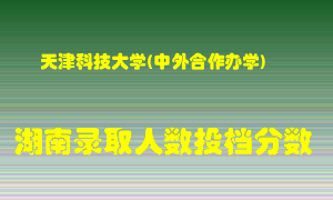 天津科技大学在湖南历年招生计划录取人数投档分数