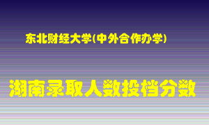 东北财经大学在湖南历年招生计划录取人数投档分数