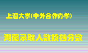 上海大学在湖南历年招生计划录取人数投档分数