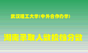 武汉理工大学在湖南历年招生计划录取人数投档分数