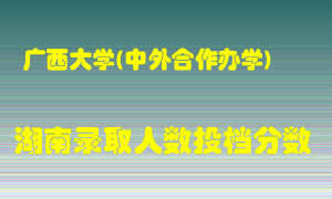 广西大学在湖南历年招生计划录取人数投档分数