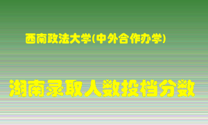 西南政法大学在湖南历年招生计划录取人数投档分数