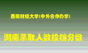 西南财经大学在湖南历年招生计划录取人数投档分数